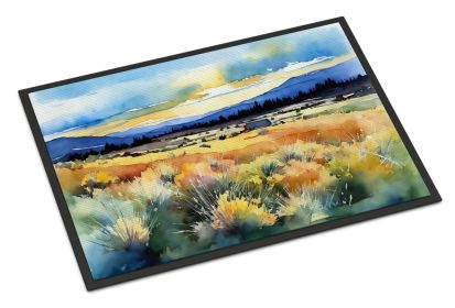 NEW Nevada Sagebrush in Watercolor Doormat Front Door Mat Indoor Outdoor Rugs for Entryway, Non Slip Washable Low Pile, 18H X 27W