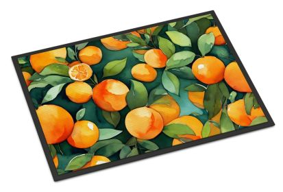 NEW Florida Orange Blossom in Watercolor Doormat Front Door Mat Indoor Outdoor Rugs for Entryway, Non Slip Washable Low Pile, 18H X 27W