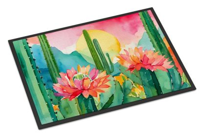 NEW Arizona Saguaro Cactus Blossom in Watercolor Doormat Front Door Mat Indoor Outdoor Rugs for Entryway, Non Slip Washable Low Pile, 18H X 27W