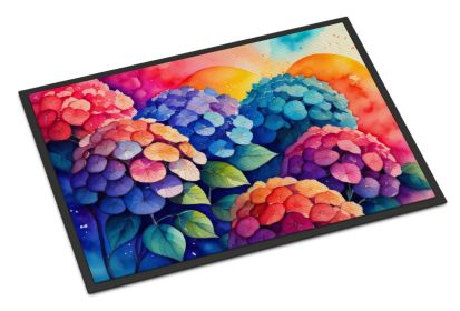 NEW Hydrangeas in Color Doormat Front Door Mat Indoor Outdoor Rugs for Entryway, Non Slip Washable Low Pile, 18H X 27W