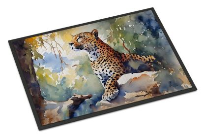 NEW Leopard Doormat Front Door Mat Indoor Outdoor Rugs for Entryway, Non Slip Washable Low Pile, 18H X 27W (Default: Default)