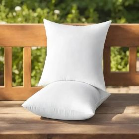 Throw Pillows , 2pack (Option: 20inchx26inch)